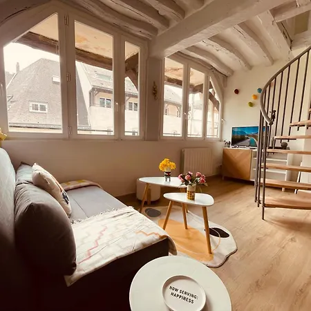 Appartement Notre Coin Secret - Jolie Duplex Au Fil Du Robec - 386