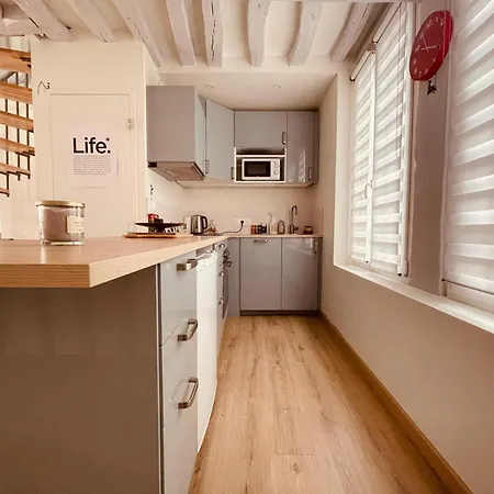 Notre Coin Secret - Jolie Duplex Au Fil Du Robec - 386 Appartement