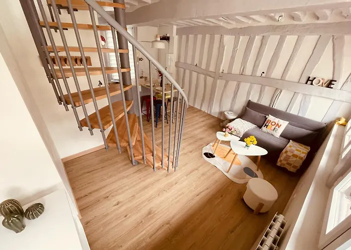 Notre Coin Secret - Jolie Duplex Au Fil Du Robec - 386