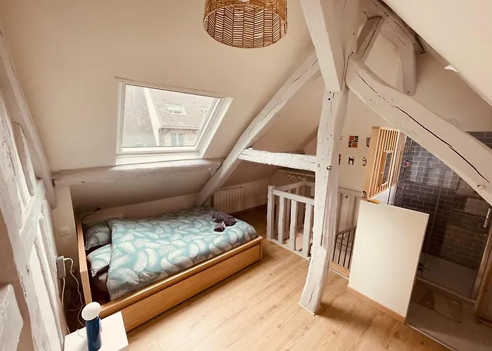 Apartment Notre Coin Secret - Jolie Duplex Au Fil Du Robec - 386 *