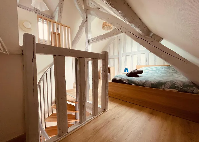 Notre Coin Secret - Jolie Duplex Au Fil Du Robec - 386