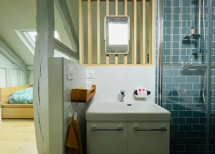 Notre Coin Secret - Jolie Duplex Au Fil Du Robec - 386 *