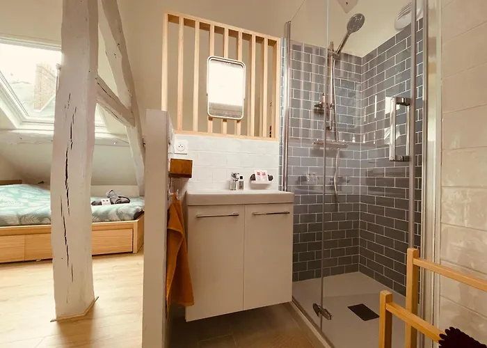 Notre Coin Secret - Jolie Duplex Au Fil Du Robec - 386 Rouen